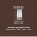 Play 2D-Ring File with Frontview Pocket - FI 8332-BR